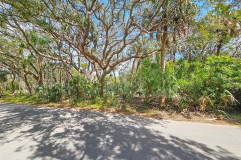 Terreno en venta en Flagler Beach, Florida № 1903933 - foto 4