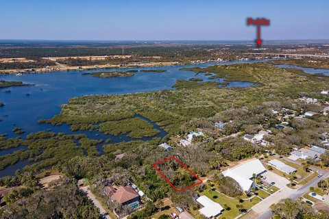 Terreno en venta en Flagler Beach, Florida № 1903933 - foto 5