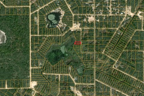 Land in Webster, Florida № 2162513 - photo 2