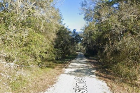 Land in Webster, Florida № 2162513