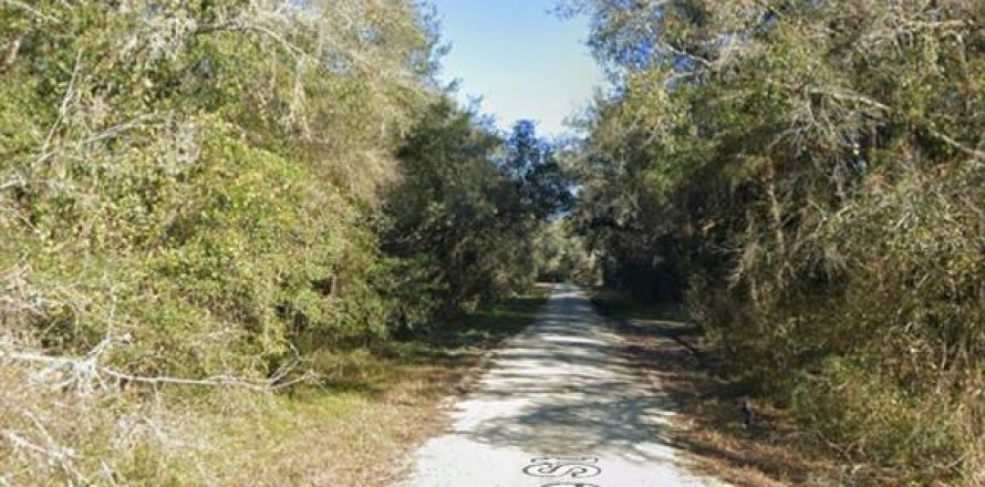 Land in Webster, Florida № 2162513