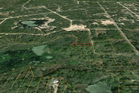 Land in Webster, Florida № 2162513 - photo 3
