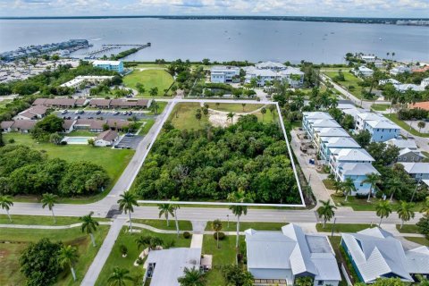 Land in Punta Gorda, Florida № 2396006
