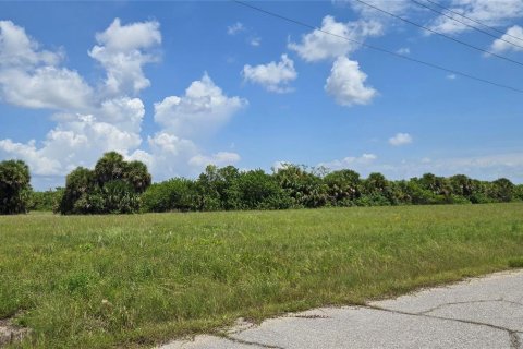 Land in Placida, Florida № 2349994