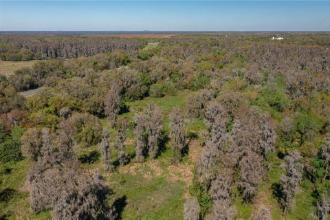 Terreno en venta en Bartow, Florida № 2325134 - foto 4