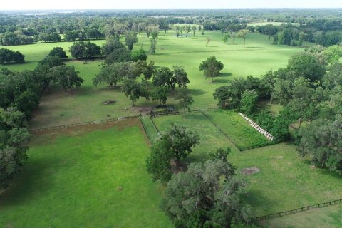 Terrain à Ocala, Floride № 2136014