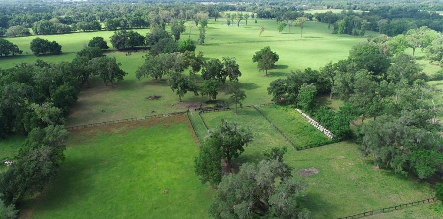 Terreno en Ocala, Florida № 2136014