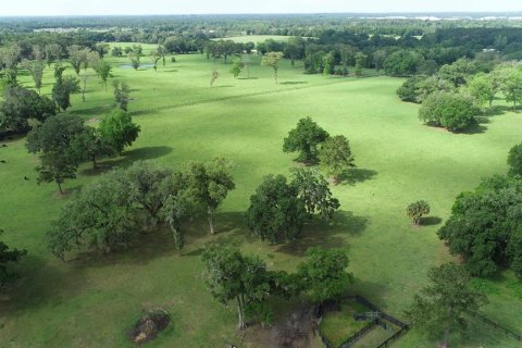 Terreno en venta en Ocala, Florida № 2136014 - foto 3