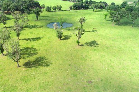 Terreno en venta en Ocala, Florida № 2136014 - foto 4