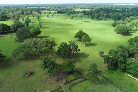 Terreno en venta en Ocala, Florida № 2136014 - foto 2