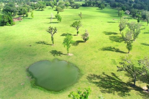 Terreno en venta en Ocala, Florida № 2136014 - foto 5