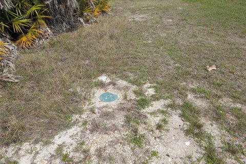 Land in Rotonda, Florida № 2228969 - photo 4