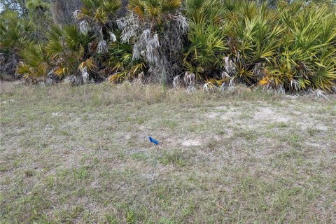Land in Rotonda, Florida № 2228969 - photo 3