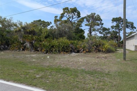 Land in Rotonda, Florida № 2228969 - photo 5