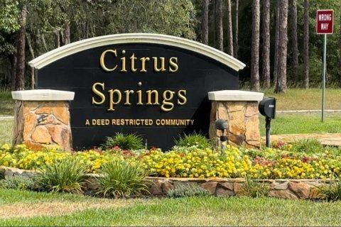 Duplex in Citrus Springs, Florida 6 bedrooms, 234.67 sq.m. № 2373246 - photo 21