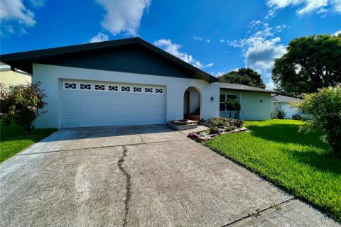 Villa ou maison à louer à Safety Harbor, Floride: 4 chambres, 181.9 m2 № 1843287 - photo 1