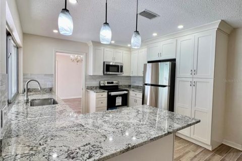 Villa ou maison à louer à Safety Harbor, Floride: 4 chambres, 181.9 m2 № 1843287 - photo 9