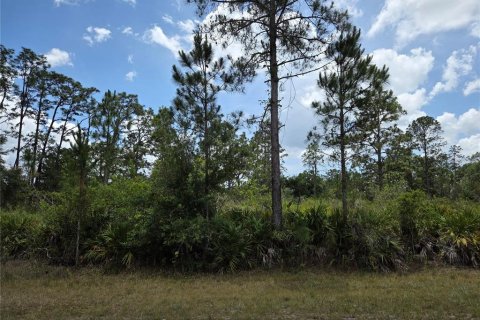 Land in Indian lake estates, Florida № 2162426 - photo 6