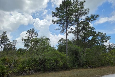 Land in Indian lake estates, Florida № 2162426 - photo 3