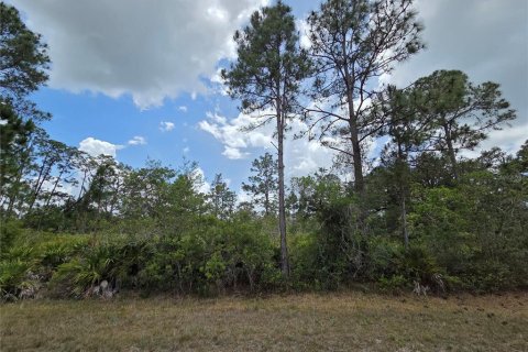 Land in Indian lake estates, Florida № 2162426
