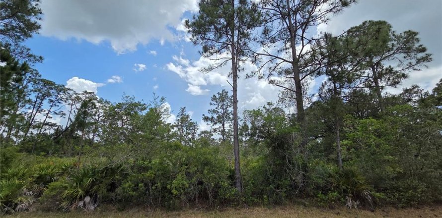 Land in Indian lake estates, Florida № 2162426