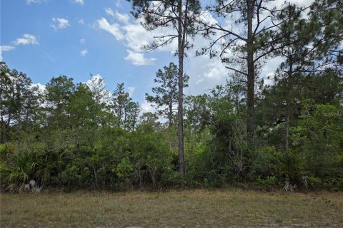 Land in Indian lake estates, Florida № 2162426 - photo 2