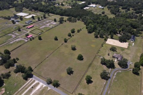 Land in Ocala, Florida № 1642228 - photo 13