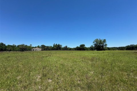 Land in Ocala, Florida № 1642228 - photo 3