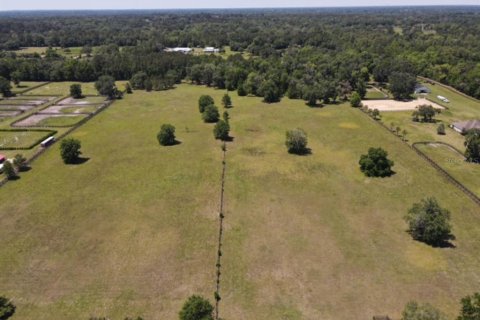 Land in Ocala, Florida № 1642228 - photo 15