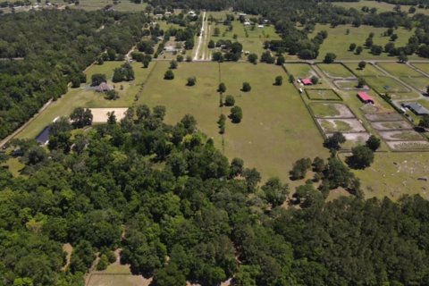 Land in Ocala, Florida № 1642228 - photo 14