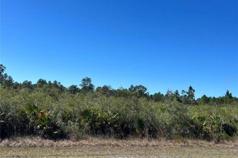 Terrain à Indian lake estates, Floride № 2345592