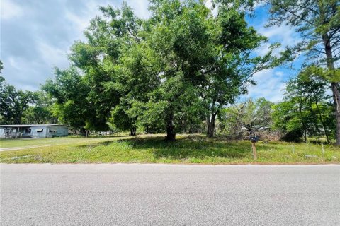 Land in Lakeland, Florida № 1615580 - photo 1