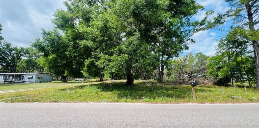 Land in Lakeland, Florida № 1615580