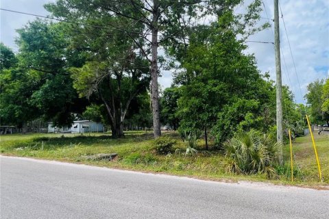 Land in Lakeland, Florida № 1615580 - photo 2