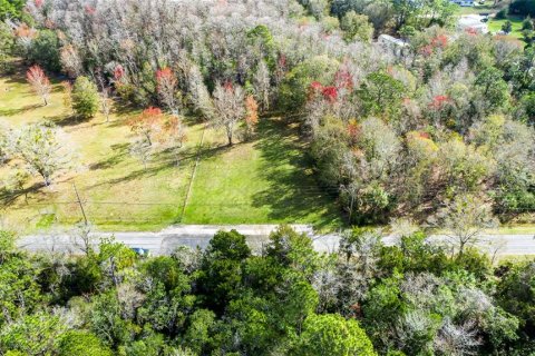 Terrain à vendre à Homosassa, Floride № 2223095 - photo 7