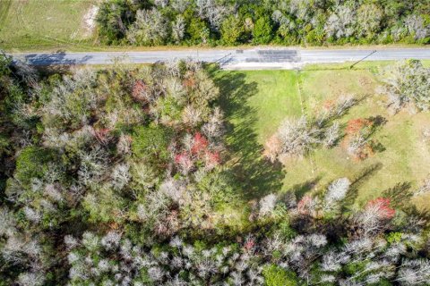 Terrain à vendre à Homosassa, Floride № 2223095 - photo 6