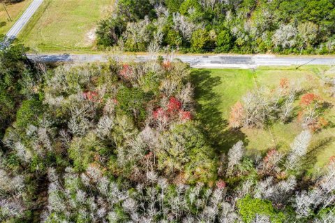 Terrain à Homosassa, Floride № 2223095