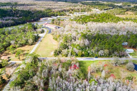 Terrain à vendre à Homosassa, Floride № 2223095 - photo 5