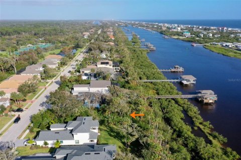 Land in Palm Coast, Florida № 1434375 - photo 6