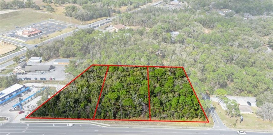 Terreno en Lecanto, Florida № 1525156