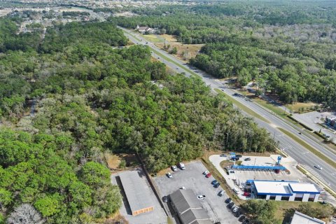 Land in Lecanto, Florida № 1525156 - photo 15