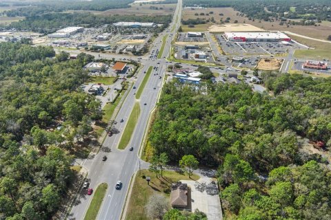 Land in Lecanto, Florida № 1525156 - photo 20