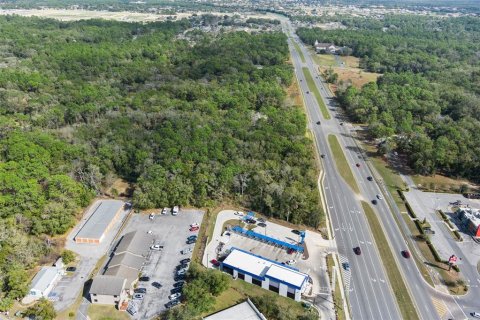 Land in Lecanto, Florida № 1525156 - photo 14