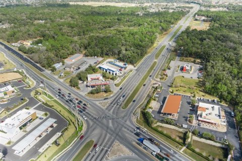 Land in Lecanto, Florida № 1525156 - photo 13