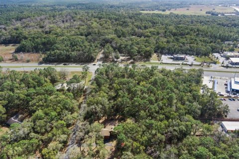 Land in Lecanto, Florida № 1525156 - photo 17