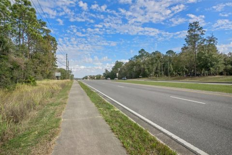 Land in Lecanto, Florida № 1525156 - photo 26