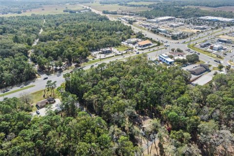Land in Lecanto, Florida № 1525156 - photo 18