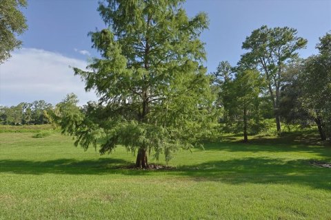 House in Gainesville, Florida 5 bedrooms, 331.66 sq.m. № 1837836 - photo 2