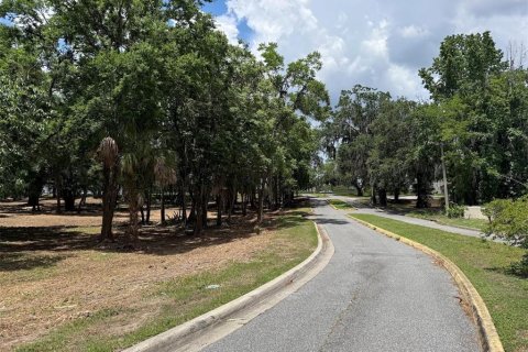 Land in Ocala, Florida № 2214171 - photo 8