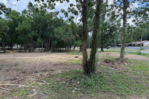 Land in Ocala, Florida № 2214171 - photo 11